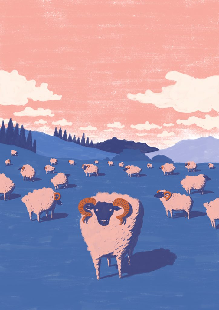 Flock of sheep illustration, soft color art.