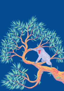 Grey monkey illustration, soft colers art.