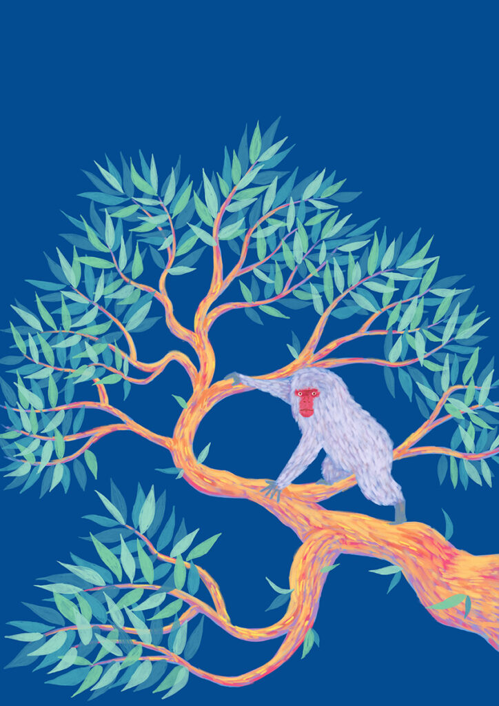 Grey monkey illustration, soft colers art.