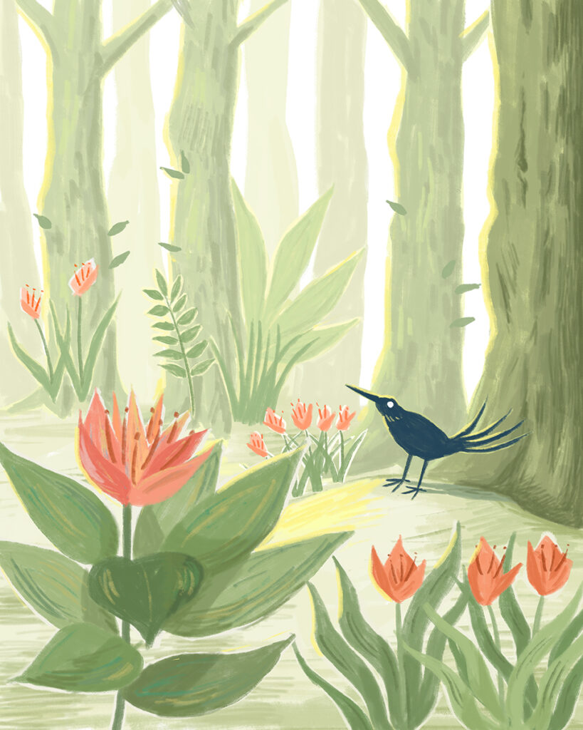 black bird and woods illustration, soft colers art.