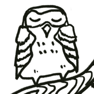 owl_icon