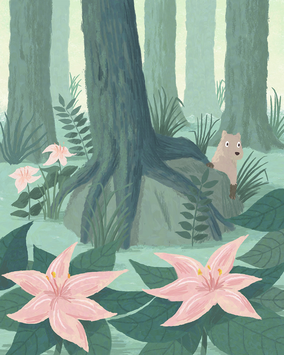 森の小さな生き物／Small creature in the forest