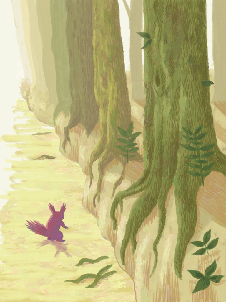 リスと森／Squirrel and woods