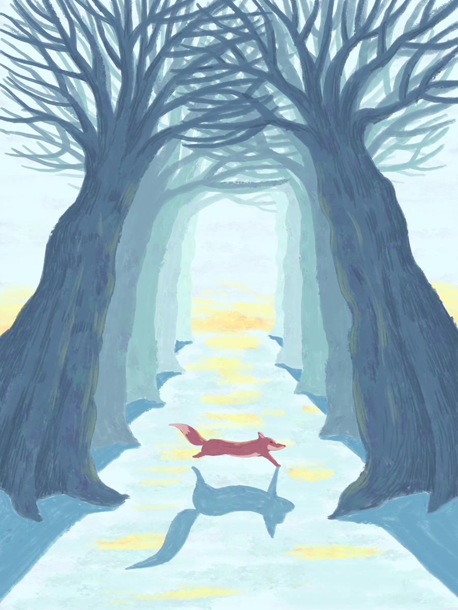 木々を走り抜けるキツネ／Fox running through the trees