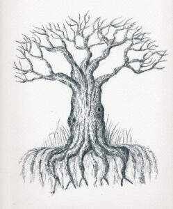 Illustration of a tree standing on the edge, drawn in pencil.
