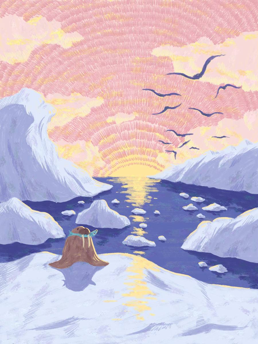 セイウチと鳥／Walrus and birds